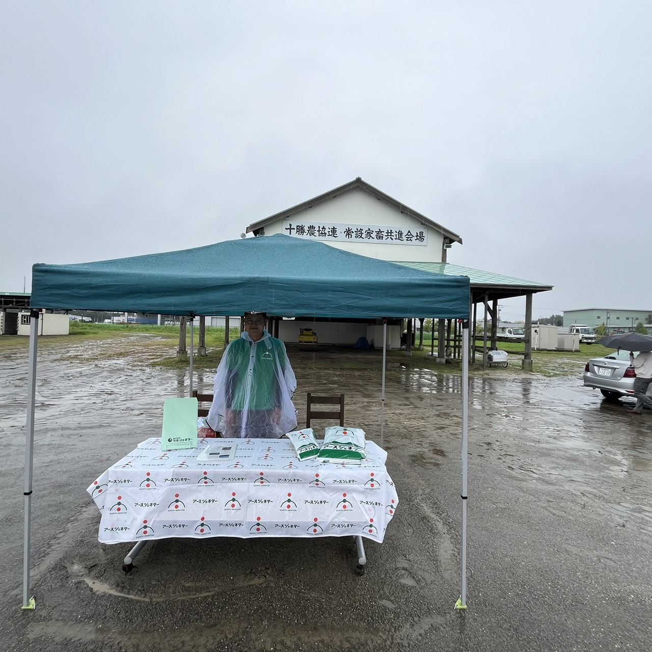 北海道肉用牛共進会